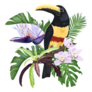 Toucan Bird Exotic Leaves And Flowers, and Monstera Sticker