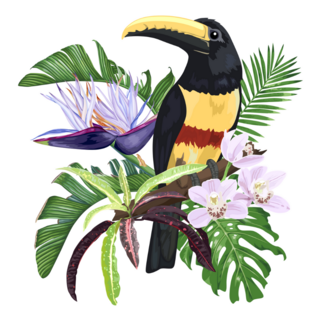 Toucan Bird Exotic Leaves And Flowers, and Monstera Sticker
