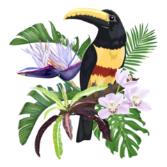 Toucan Bird Exotic Leaves And Flowers, and Monstera Sticker