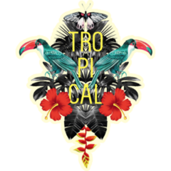 Toucan Bird In The Jungle Sticker