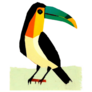 Toucan Exotic Bird Oil Painting Sticker