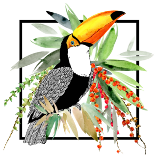 Toucan-Exotic Bird Plant Sticker