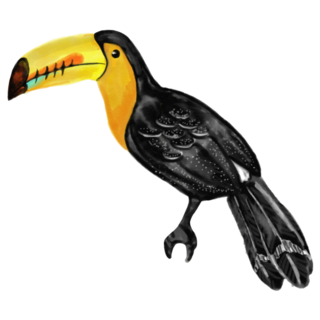 Toucan Exotic Bird Sticker