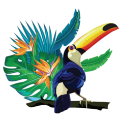 Toucan Exotic Bird Sticker 