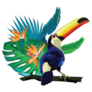 Toucan Exotic Bird Sticker 