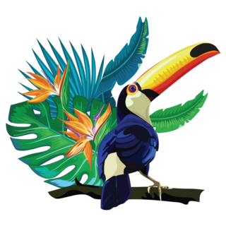 Toucan Exotic Bird Sticker 