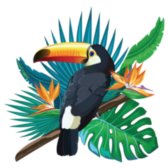 Toucan, Jungle Leaves, Bird Of Paradise Sticker