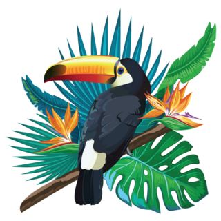 Toucan, Jungle Leaves, Bird Of Paradise Sticker