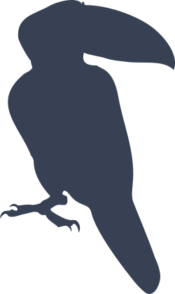 Toucan Looking To The Right Sticker