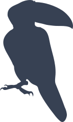 Toucan Looking To The Right Sticker