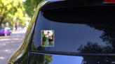 Toucan Oil Painting On Canvas Blossom Sticker on a Rear Car Window (New) example