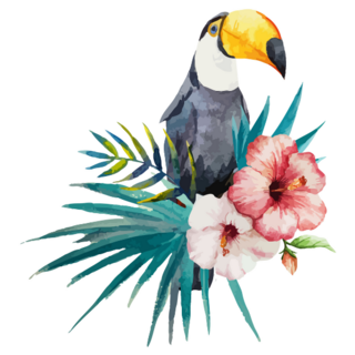 Toucan on Hibiscus Sticker