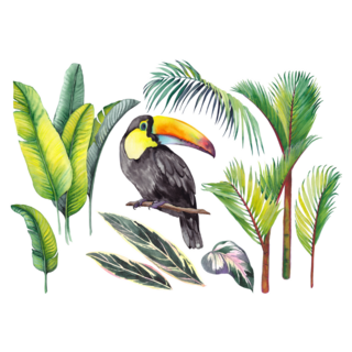 Toucan, Tropical Banana Leaves, Palm And Calathea Leaves Sticker