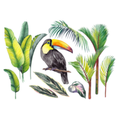 Toucan, Tropical Banana Leaves, Palm And Calathea Leaves Sticker