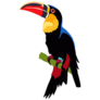 Toucan With Lines And Dots Sticker