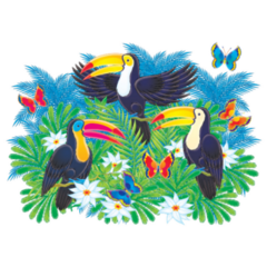 Toucans and Butterflies 