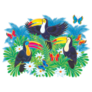 Toucans and Butterflies 