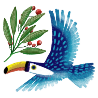 Toucans Brazilian Bird Sticker