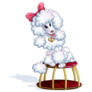 Trained Poodle Sticker