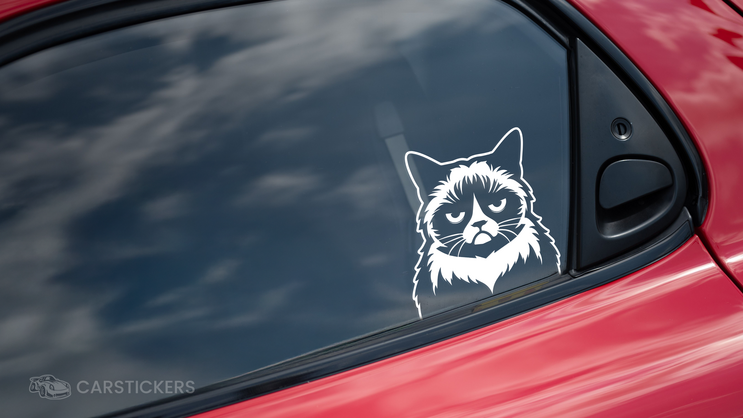 A white transfer decal on the side window of a car.