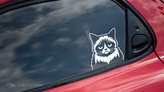 A white transfer decal on the side window of a car.
