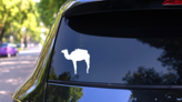 Traveling Camel Sticker on a Rear Car Window (New) example