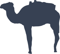 Traveling Camel Sticker