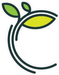 Tree Branch With Leaves Sticker