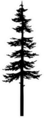 Tree Pine Silhouette Cypress Evengreen Sticker