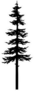 Tree Pine Silhouette Cypress Evengreen Sticker