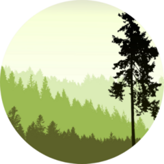 Tree Silhouette On An Abstract Background Sticker