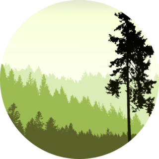 Tree Silhouette On An Abstract Background Sticker