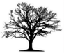 Tree Silhouette Sticker