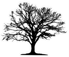 Tree Silhouette Sticker