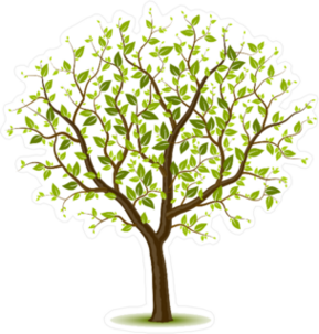 Tree With Green Leaves Sticker