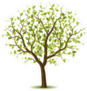 Tree With Green Leaves Sticker