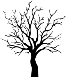 Tree With No Leaves Sticker