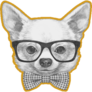 Trendy Chihuahua Sticker