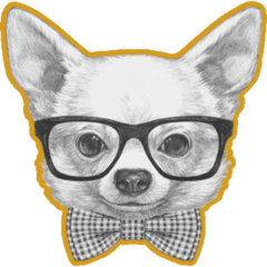 Trendy Chihuahua Sticker