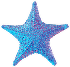 Trendy Gradient Starfish Isolated Sticker