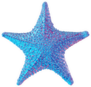 Trendy Gradient Starfish Isolated Sticker
