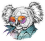 Trendy Portrait Of Koala Bear In Glasses Sticker