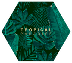 Trendy Summer Tropical Leaves Sticker