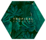 Trendy Summer Tropical Leaves Sticker