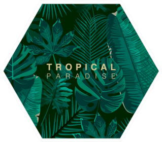 Trendy Summer Tropical Leaves Sticker