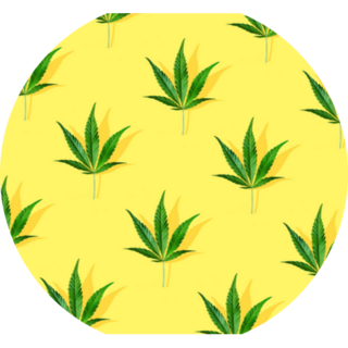 Trendy Sunlight CBD Pattern Circle Sticker