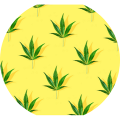 Trendy Sunlight CBD Pattern Circle Sticker