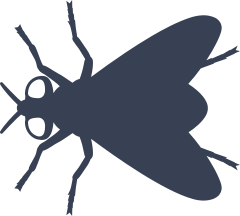 Vibrant, High-Quality Triangular Fly Stickers