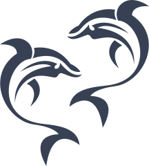 Tribal Dolphins Sticker