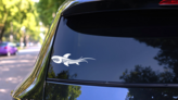 Tribal Shark Fish With Sharp Teeth Sticker on a Rear Car Window (New) example